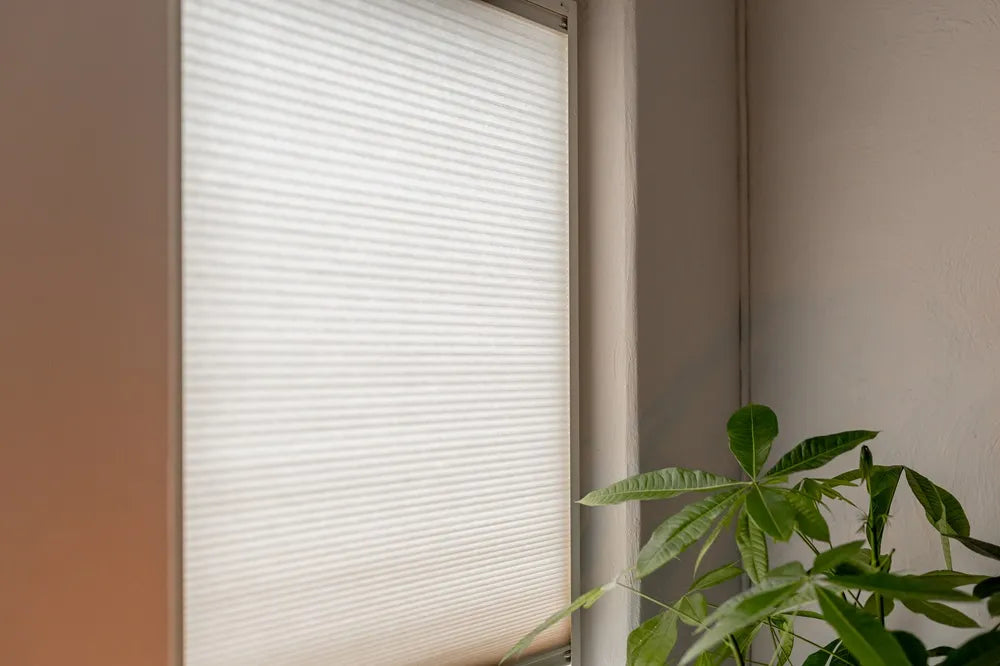 Sfeerbeeld KEJE Vaste raamplissé lichtdoorlatend